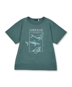 クジラ サメ ウミガメ アニマル プリント ビッグ Tシャツ (90~150cm)