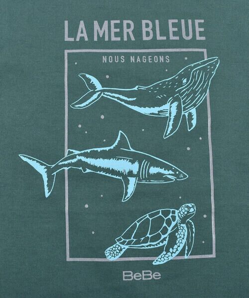 BeBe / べべ Tシャツ | クジラ サメ ウミガメ アニマル プリント ビッグ Tシャツ (90~150cm) | 詳細11