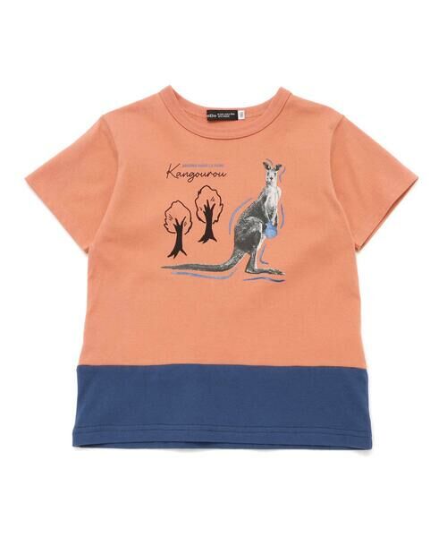 BeBe / べべ Tシャツ | バイカラーアニマルプリント天竺半袖Tシャツ(80~140cm) | 詳細18