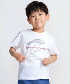 BeBe / べべ Tシャツ | 【 速乾 】【神戸須磨シーワールド×BeBe】シャチ・イルカ 図鑑風半袖Tシャツ(80~140cm)