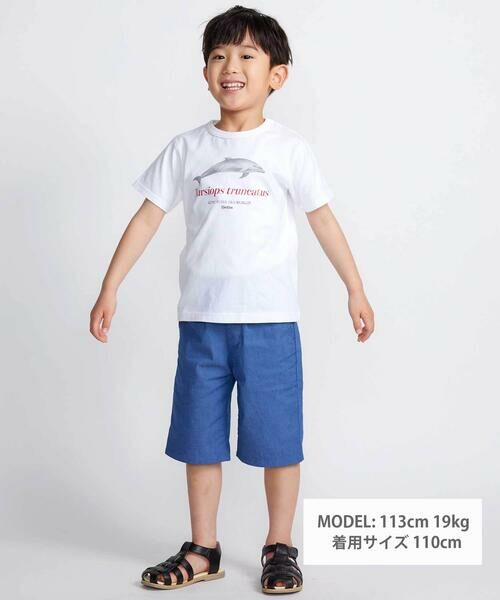 BeBe / べべ Tシャツ | 【 速乾 】【神戸須磨シーワールド×BeBe】シャチ・イルカ 図鑑風半袖Tシャツ(80~140cm) | 詳細1
