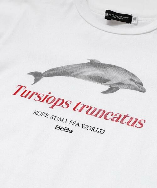 BeBe / べべ Tシャツ | 【 速乾 】【神戸須磨シーワールド×BeBe】シャチ・イルカ 図鑑風半袖Tシャツ(80~140cm) | 詳細7