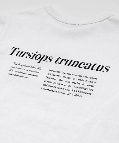 BeBe / べべ Tシャツ | 【 速乾 】【神戸須磨シーワールド×BeBe】シャチ・イルカ 図鑑風半袖Tシャツ(80~140cm) | 詳細8