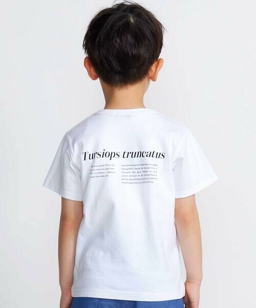 BeBe / べべ Tシャツ | 【 速乾 】【神戸須磨シーワールド×BeBe】シャチ・イルカ 図鑑風半袖Tシャツ(80~140cm) | 詳細2