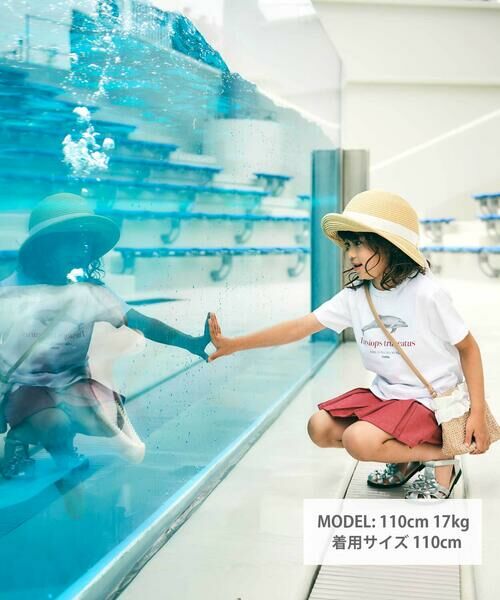BeBe / べべ Tシャツ | 【 速乾 】【神戸須磨シーワールド×BeBe】シャチ・イルカ 図鑑風半袖Tシャツ(80~140cm) | 詳細3