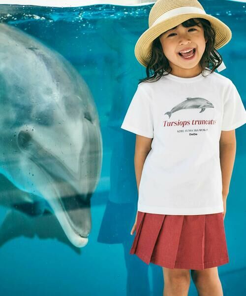 BeBe / べべ Tシャツ | 【 速乾 】【神戸須磨シーワールド×BeBe】シャチ・イルカ 図鑑風半袖Tシャツ(80~140cm) | 詳細4