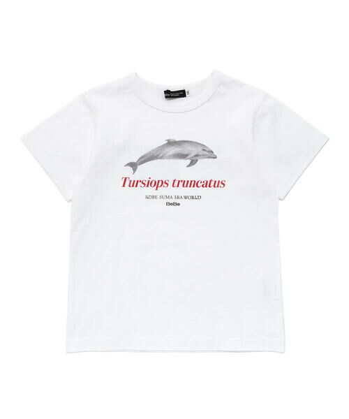 BeBe / べべ Tシャツ | 【 速乾 】【神戸須磨シーワールド×BeBe】シャチ・イルカ 図鑑風半袖Tシャツ(80~140cm) | 詳細5