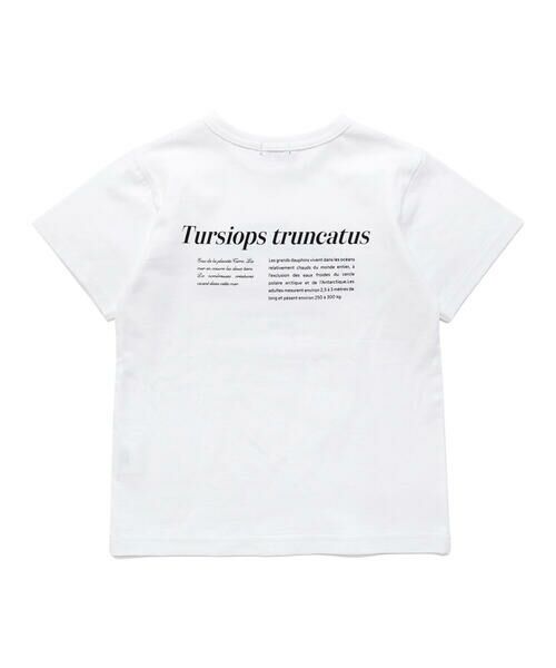 BeBe / べべ Tシャツ | 【 速乾 】【神戸須磨シーワールド×BeBe】シャチ・イルカ 図鑑風半袖Tシャツ(80~140cm) | 詳細6