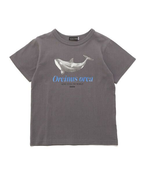 BeBe / べべ Tシャツ | 【 速乾 】【神戸須磨シーワールド×BeBe】シャチ・イルカ 図鑑風半袖Tシャツ(80~140cm) | 詳細12