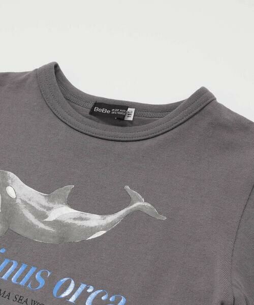 BeBe / べべ Tシャツ | 【 速乾 】【神戸須磨シーワールド×BeBe】シャチ・イルカ 図鑑風半袖Tシャツ(80~140cm) | 詳細14