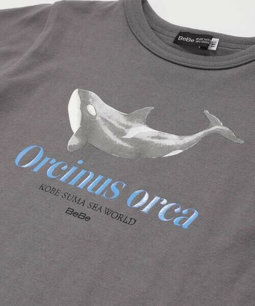 BeBe / べべ Tシャツ | 【 速乾 】【神戸須磨シーワールド×BeBe】シャチ・イルカ 図鑑風半袖Tシャツ(80~140cm) | 詳細15