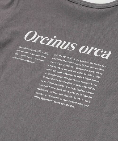 BeBe / べべ Tシャツ | 【 速乾 】【神戸須磨シーワールド×BeBe】シャチ・イルカ 図鑑風半袖Tシャツ(80~140cm) | 詳細16