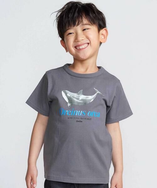BeBe/べべ 【 速乾 】【神戸須磨シーワールド×BeBe】シャチ・イルカ 図鑑風半袖Tシャツ(80~140cm) グレー 120cm BeBe/べべ 【 速乾 】【神戸須磨シーワールド×BeBe】シャチ・イルカ 図鑑風半袖Tシャツ(80~140cm) グレー 120cm