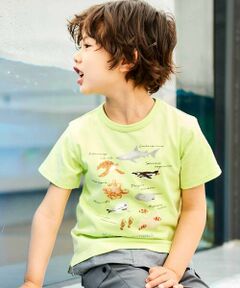 BeBe / べべ Tシャツ | 【 速乾 】【神戸須磨シーワールド×BeBe】不思議な青い世界 海の生きもの半袖Tシャツ(80~140cm)