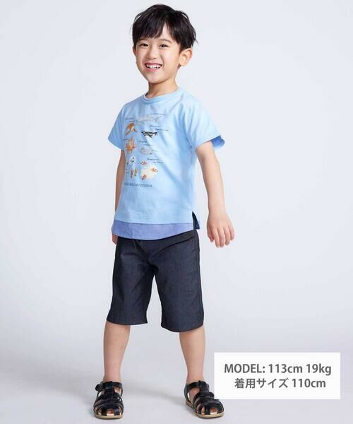 BeBe / べべ Tシャツ | 【 速乾 】【神戸須磨シーワールド×BeBe】不思議な青い世界 海の生きもの半袖Tシャツ(80~140cm) | 詳細1