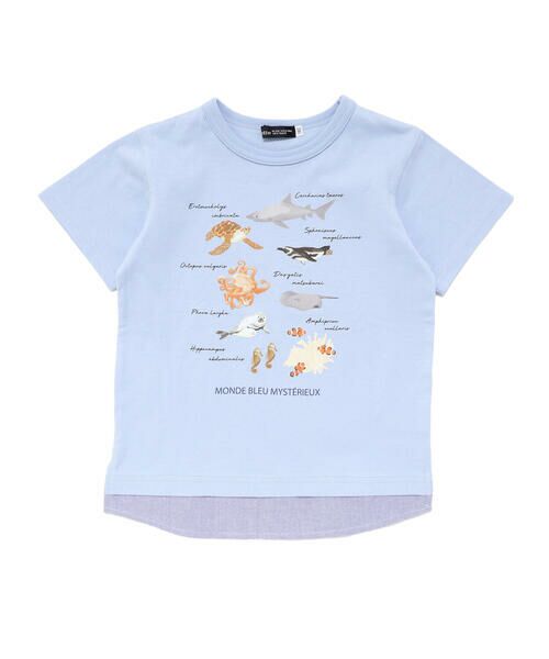 BeBe / べべ Tシャツ | 【 速乾 】【神戸須磨シーワールド×BeBe】不思議な青い世界 海の生きもの半袖Tシャツ(80~140cm) | 詳細4