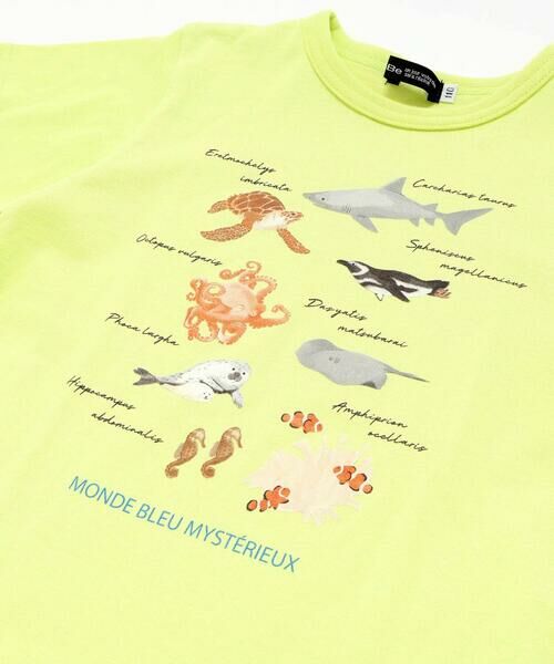 BeBe / べべ Tシャツ | 【 速乾 】【神戸須磨シーワールド×BeBe】不思議な青い世界 海の生きもの半袖Tシャツ(80~140cm) | 詳細12