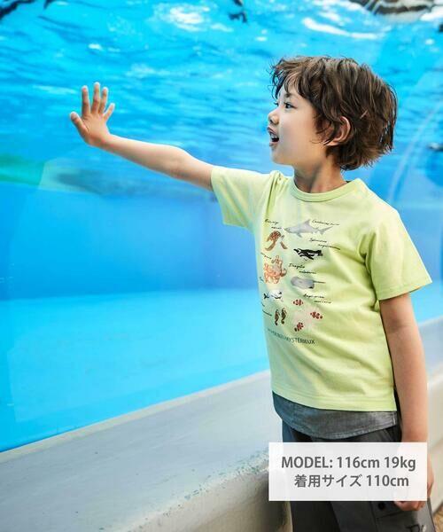 BeBe / べべ Tシャツ | 【 速乾 】【神戸須磨シーワールド×BeBe】不思議な青い世界 海の生きもの半袖Tシャツ(80~140cm) | 詳細6