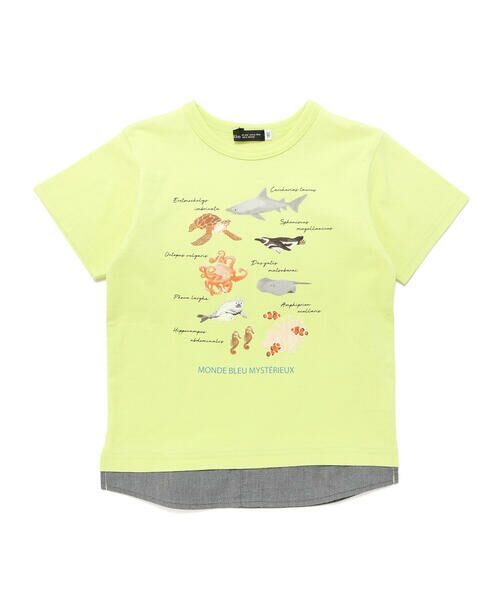 BeBe / べべ Tシャツ | 【 速乾 】【神戸須磨シーワールド×BeBe】不思議な青い世界 海の生きもの半袖Tシャツ(80~140cm) | 詳細9