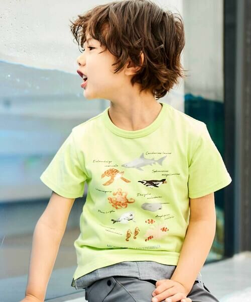BeBe/べべ 【 速乾 】【神戸須磨シーワールド×BeBe】不思議な青い世界 海の生きもの半袖Tシャツ(80~140cm) グリーン 120cm BeBe/べべ 【 速乾 】【神戸須磨シーワールド×BeBe】不思議な青い世界 海の生きもの半袖Tシャツ(80~140cm) グリーン 120cm