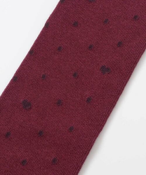 BeBe / べべ ソックス | ハートドットニーハイソックス(15~24cm) | 詳細5