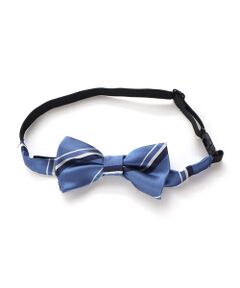 BeBe / べべ ネクタイ | レジメンタル蝶ネクタイ