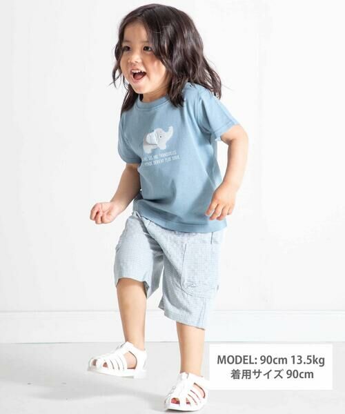 BeBe / べべ ベビー・キッズウエア | ゾウプリント天竺半袖Tシャツ+サイドポケットハーフパンツセット(80~90cm) | 詳細1