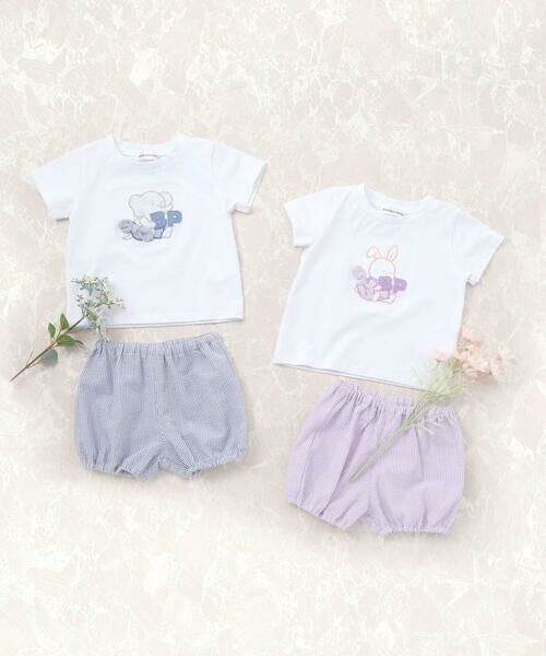 アニマルパッチ刺しゅう半袖Tシャツ+ストライプブルマセット(80