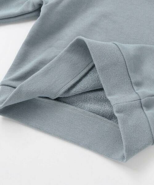 BeBe Petits Pois Vert / ベベ プチ ポワ ヴェール スウェット | 【店舗限定】【お揃い】裏毛袖ラインレーストレーナー(95~150cm) | 詳細13