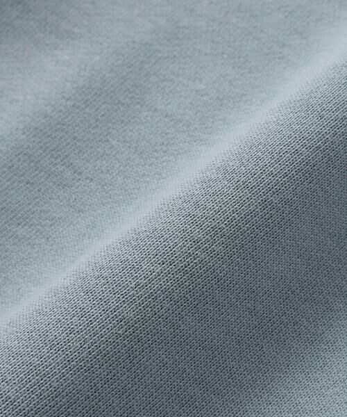 BeBe Petits Pois Vert / ベベ プチ ポワ ヴェール スウェット | 【店舗限定】【お揃い】裏毛袖ラインレーストレーナー(95~150cm) | 詳細14