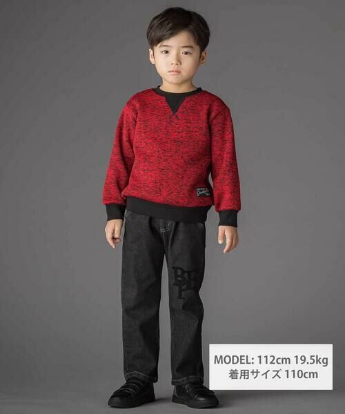 BeBe Petits Pois Vert / ベベ プチ ポワ ヴェール スウェット | まだら柄裏起毛トレーナー(95~150cm) | 詳細1