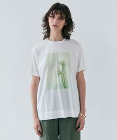BEIGE, / ベイジ, カットソー | 【洗える・クロワッサン 掲載】PENTAS / オリジナルフォトプリントＴシャツ
