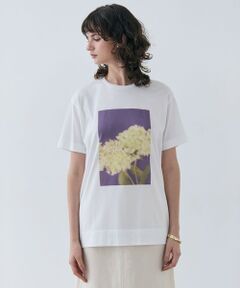 BEIGE, / ベイジ, カットソー | 【洗える・クロワッサン 掲載】PENTAS / オリジナルフォトプリントＴシャツ