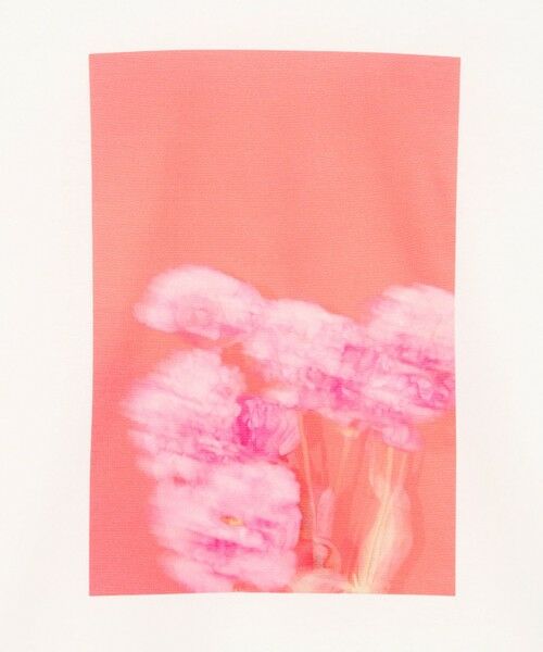 BEIGE, / ベイジ, カットソー | 【洗える・クロワッサン 掲載】PENTAS / オリジナルフォトプリントＴシャツ | 詳細5