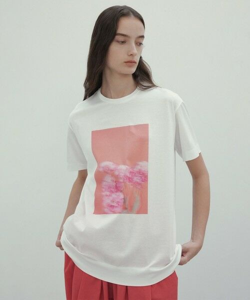 BEIGE,/ベイジ, 【洗える】PENTAS / オリジナルフォトプリントTシャツ Turkish bellflower 4 BEIGE,/ベイジ, 【洗える】PENTAS / オリジナルフォトプリントTシャツ Turkish bellflower 4