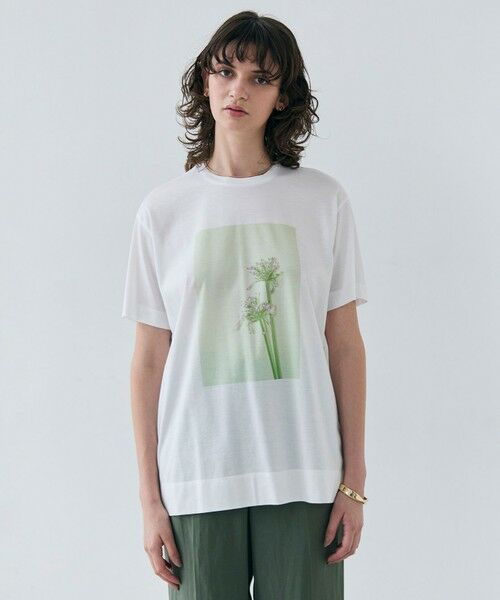 BEIGE,/ベイジ, 【洗える】PENTAS / オリジナルフォトプリントTシャツ Agapanthus 32 BEIGE,/ベイジ, 【洗える】PENTAS / オリジナルフォトプリントTシャツ Agapanthus 32