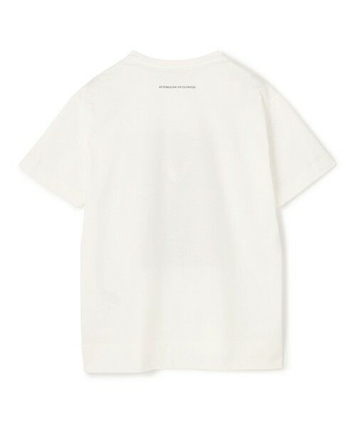 BEIGE, / ベイジ, カットソー | 【洗える・クロワッサン 掲載】PENTAS / オリジナルフォトプリントＴシャツ | 詳細13