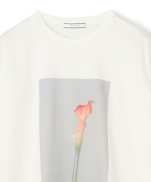 美品　パドカレ　2024ss Tシャツ　コットンベンベルグ素材 クルーネックTシャツ - 轟木節子がつくる、気持ちのいい服