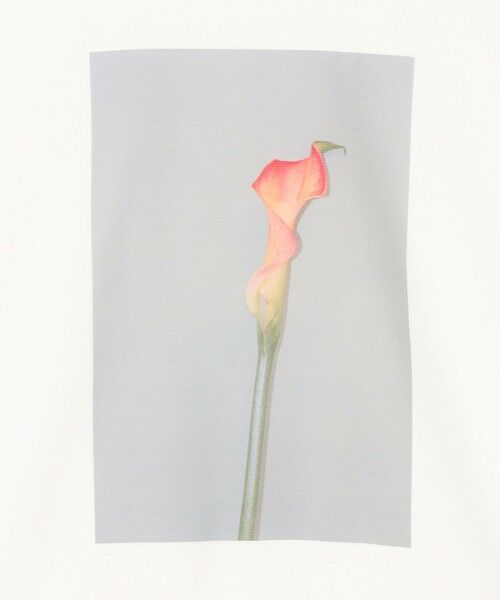 BEIGE, / ベイジ, カットソー | 【洗える・クロワッサン 掲載】PENTAS / オリジナルフォトプリントＴシャツ | 詳細17