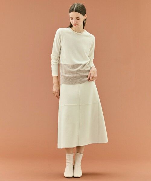 BEIGE, / ベイジ, ニット・セーター | 【WEB限定・洗える】DEMING / バイカラーウールクルーネックニット | 詳細1