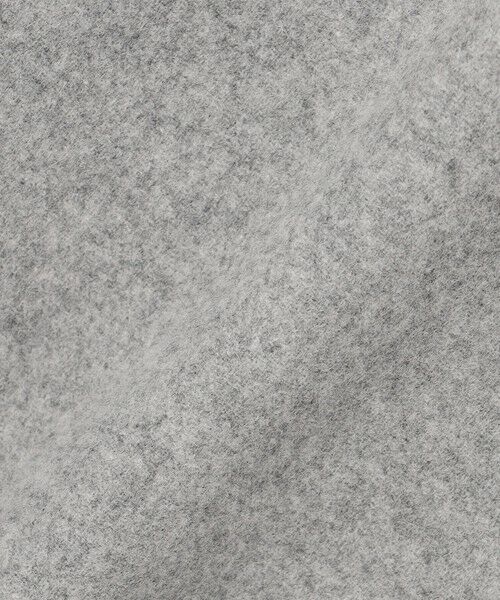 BEIGE, / ベイジ, ミニ・ひざ丈スカート | CHAMPIONNET  / ウールメルトン  Iラインスカート | 詳細7