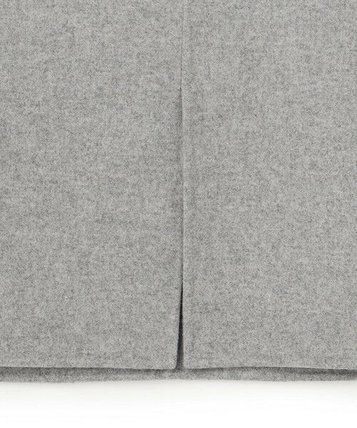 BEIGE, / ベイジ, ミニ・ひざ丈スカート | CHAMPIONNET  / ウールメルトン  Iラインスカート | 詳細3