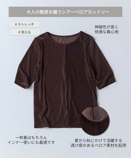 BIANCA / ビアンカ カットソー | 【BAILA12月号掲載】【トレンドミックス】シアーベロアカットソー | 詳細6
