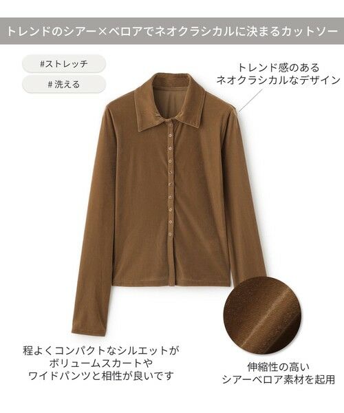 BIANCA / ビアンカ カットソー | 【トレンドミックス】クラシカル　シアーベロアシャツブラウス | 詳細11