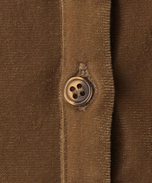 BIANCA / ビアンカ カットソー | 【トレンドミックス】クラシカル　シアーベロアシャツブラウス | 詳細16