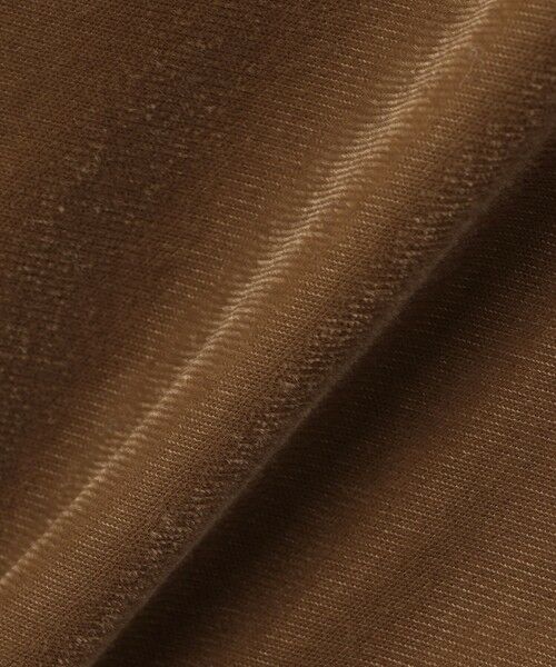 BIANCA / ビアンカ カットソー | 【トレンドミックス】クラシカル　シアーベロアシャツブラウス | 詳細17