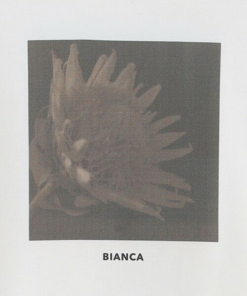 BIANCA / ビアンカ カットソー | 【デイリーユース】バックプリントロンT | 詳細7