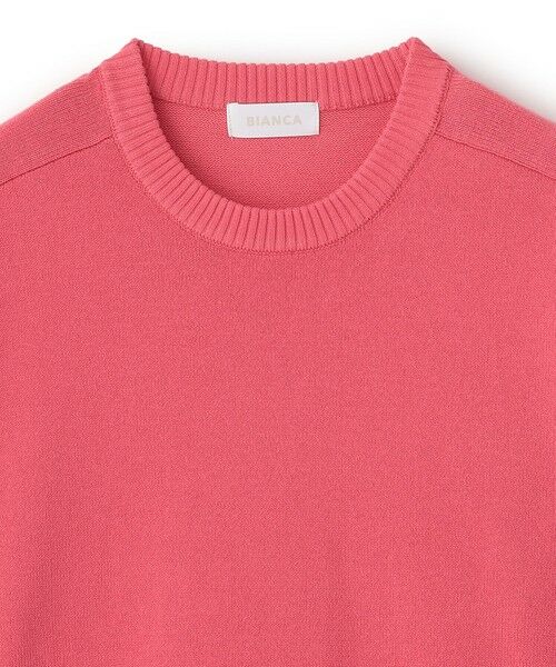 BIANCA / ビアンカ ニット・セーター | 【着回し抜群】スウェットライクニットプルオーバー | 詳細21