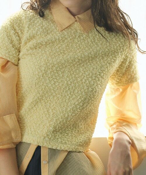 BIANCA / ビアンカ カットソー | 【1枚で着映え】ふくれジャカードカットソー | 詳細15