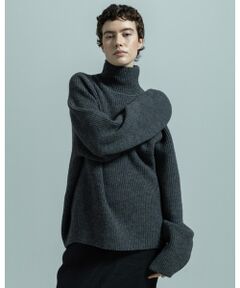 BIYOMA / ビヨーマ ニット・セーター | WOOL RIB KNIT TURTLENECK PULLOVER